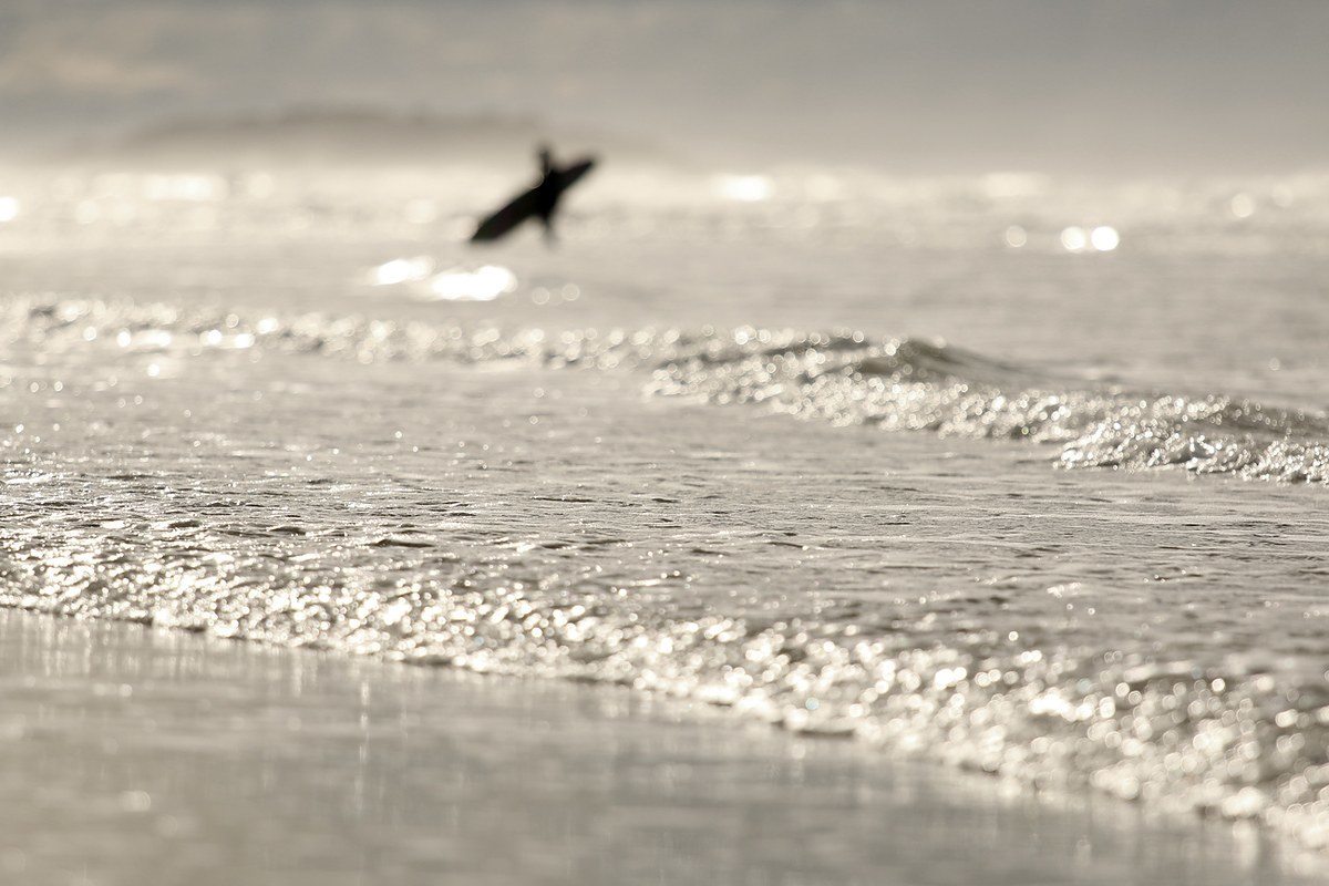 Alan Watts on the Ocean: His Best Quotes for Surfers