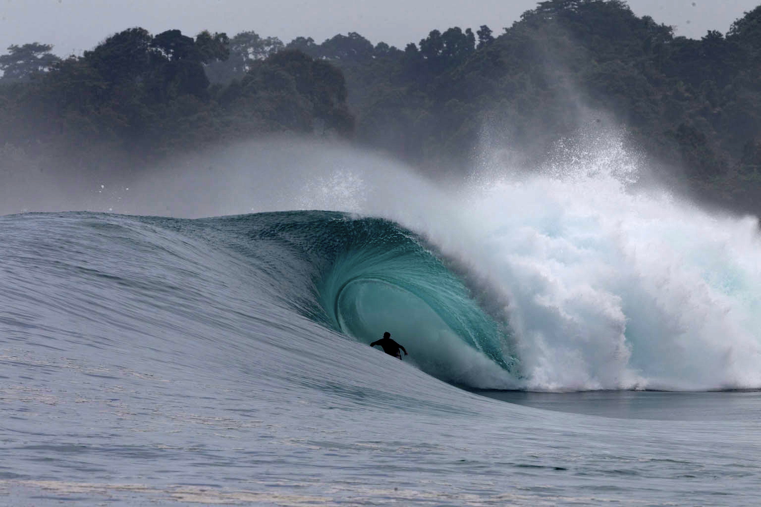 Dylan Longbottom Interview: From Big Wave Charger to Shaper