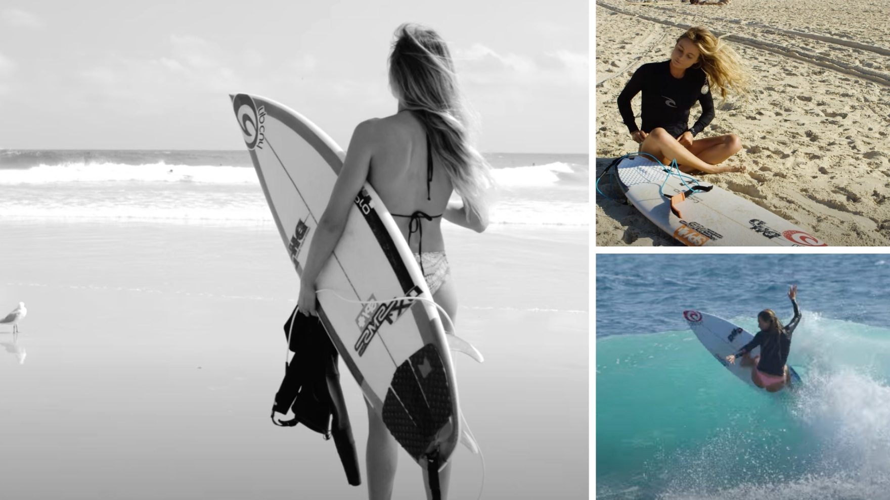 Alana Blanchard: Surfer Profile, Career & Facts